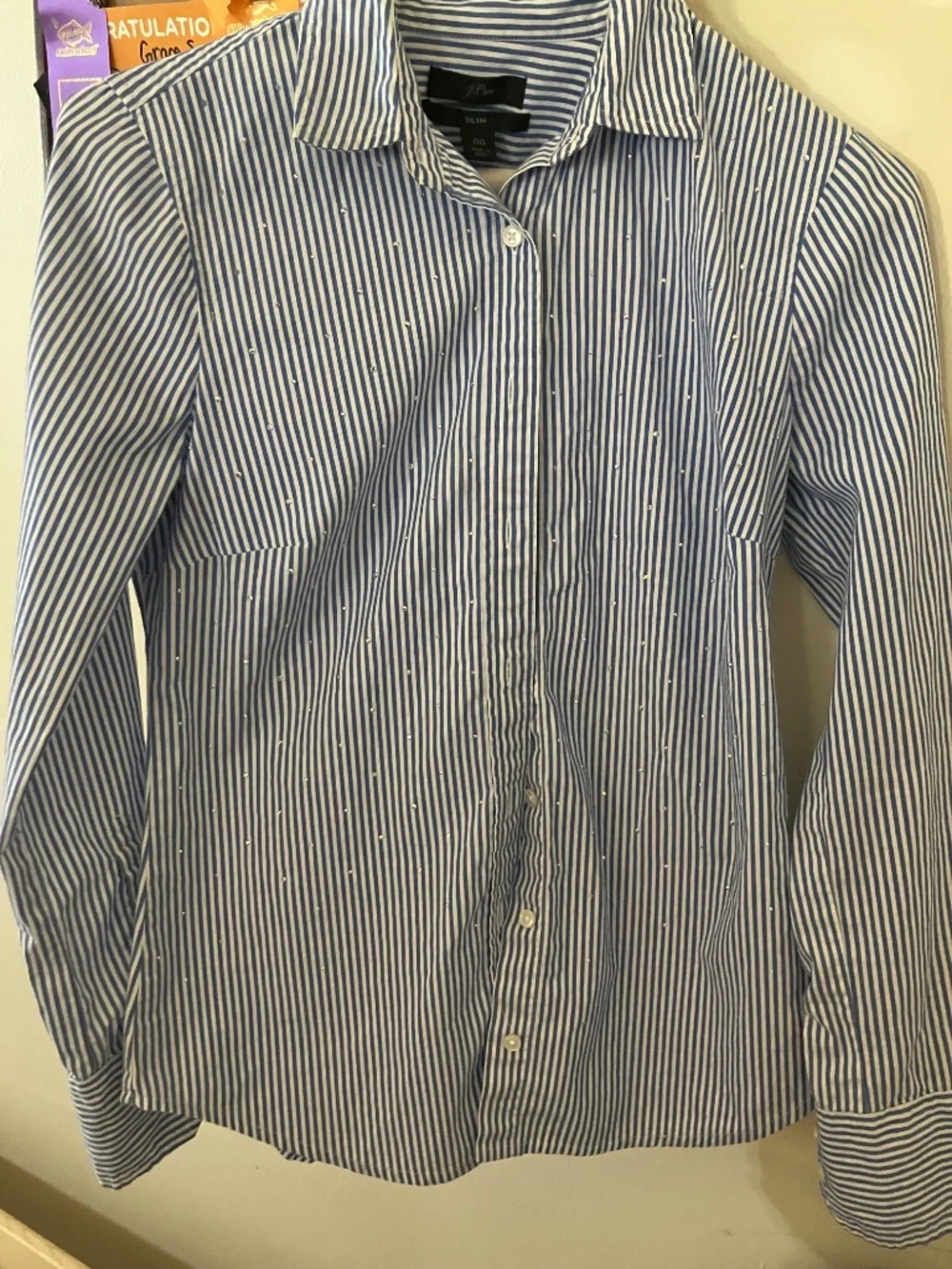 Sparkly button down shirt